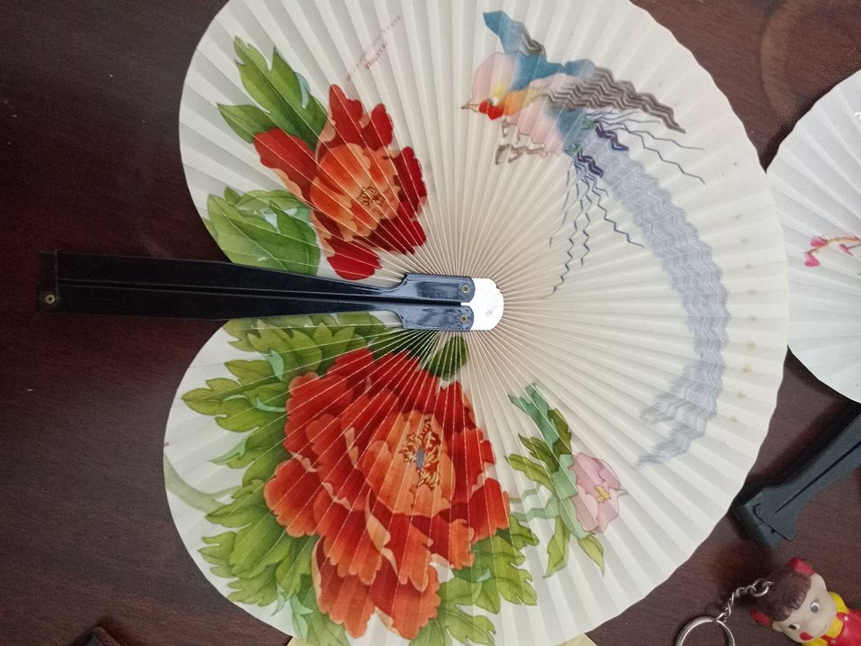 Renkli Katlanabilir El Yelpazesi Seti - Görsel 2