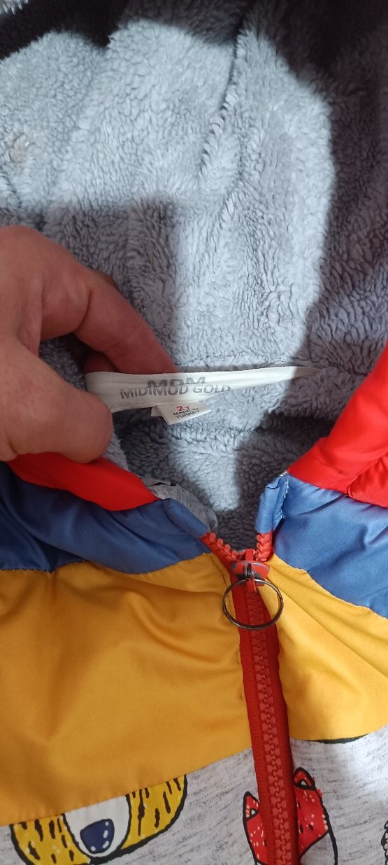 Kapüşonlu Renkli Erkek Çocuk Mont - Görsel 3