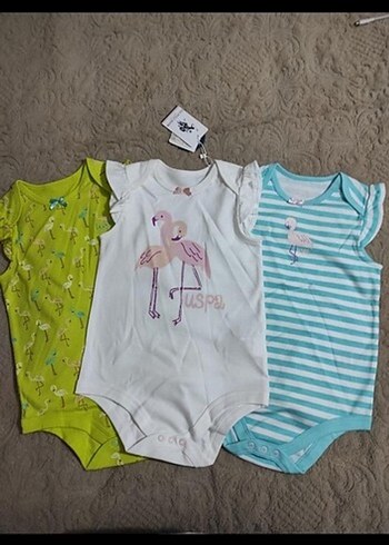 U.S Polo Assn. 3 Yaş