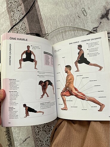 Beden Esnetme hareketleri anatomisi