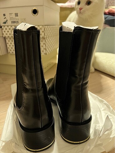 Zara Zara Bot 39 Numara