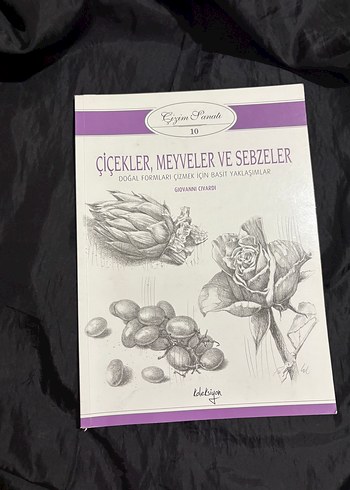 Koleksiyon yayınevi çizim sanatı kitaplaro