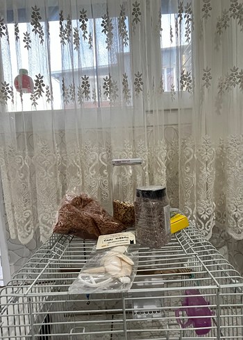 Gri Kuş Kafesi ve Ahşap Ek Parça - Görsel 4