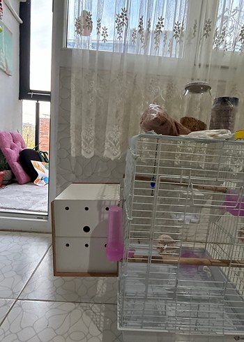 Gri Kuş Kafesi ve Ahşap Ek Parça - Görsel 3