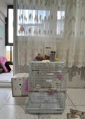 Gri Kuş Kafesi ve Ahşap Ek Parça - Görsel 7