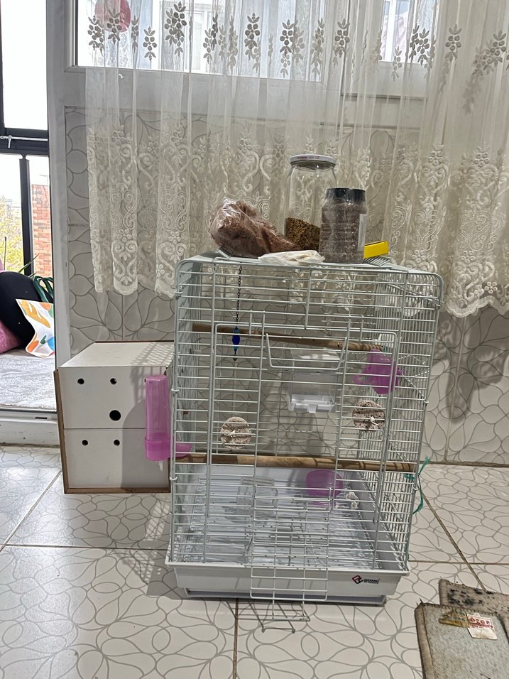 Gri Kuş Kafesi ve Ahşap Ek Parça - Görsel 5