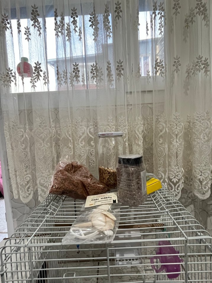 Gri Kuş Kafesi ve Ahşap Ek Parça - Görsel 4