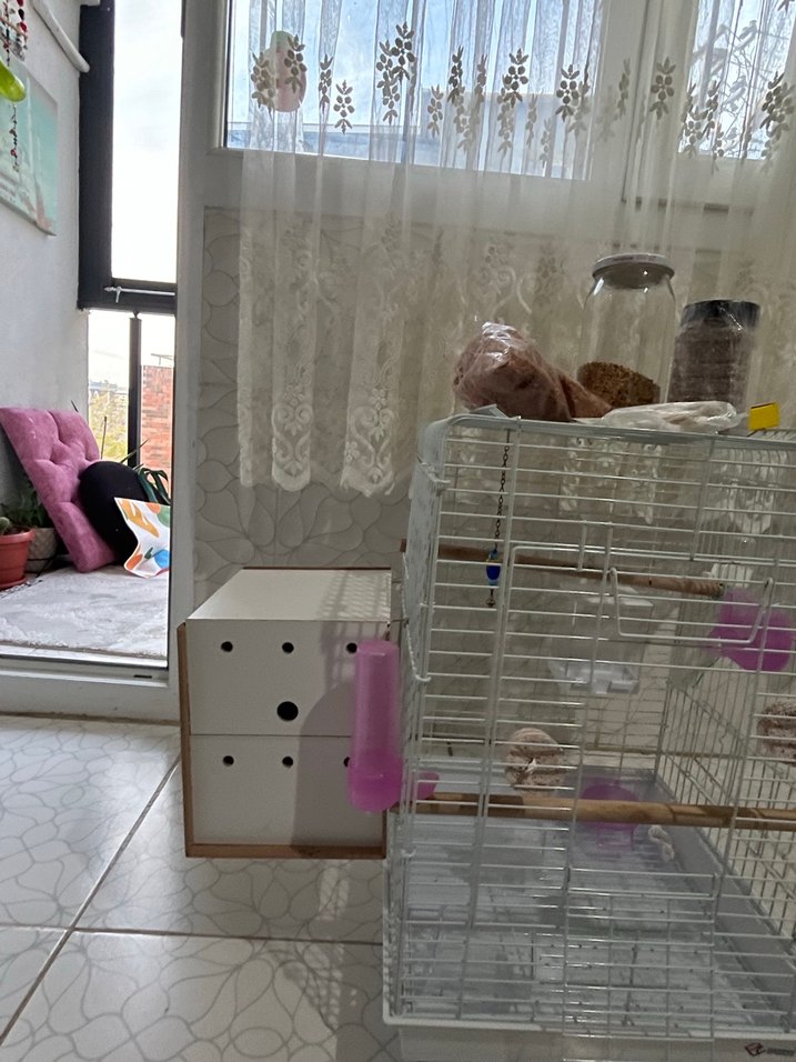 Gri Kuş Kafesi ve Ahşap Ek Parça - Görsel 3