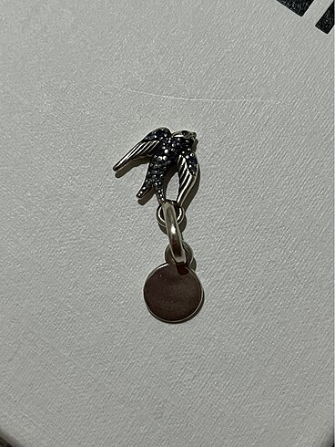 Pandora charm