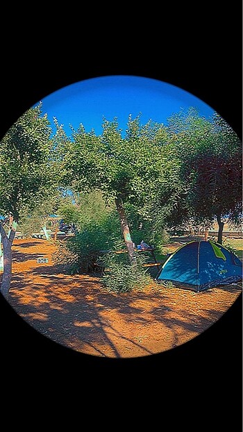 Pavillo çadır