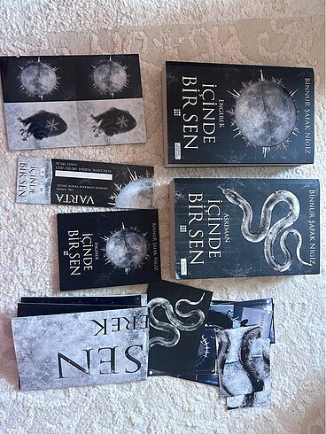 içinde bir sen ilk iki kitap