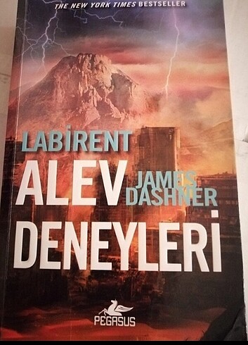 Labirent 4 kitap+Replika