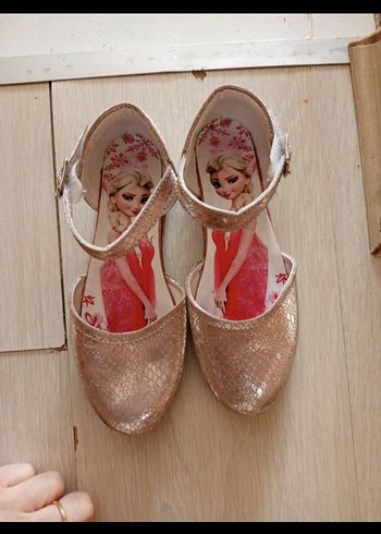 Walt Disney World 29