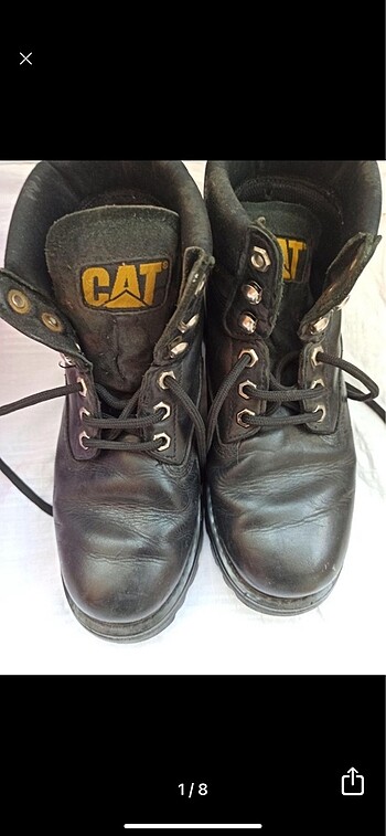 Cat bot