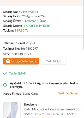 Diger Mavi Stiletto Abiye Ayakkabı - Görsel 7