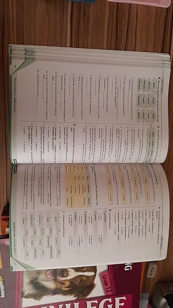 YDS PUBLISHING KİTAPLARI - Görsel 9