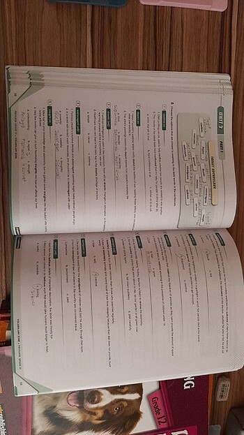 YDS PUBLISHING KİTAPLARI - Görsel 10