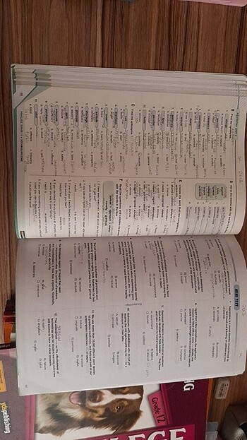 YDS PUBLISHING KİTAPLARI - Görsel 11