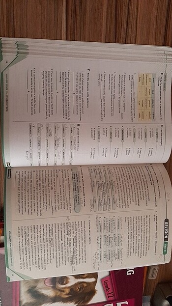 YDS PUBLISHING KİTAPLARI - Görsel 12