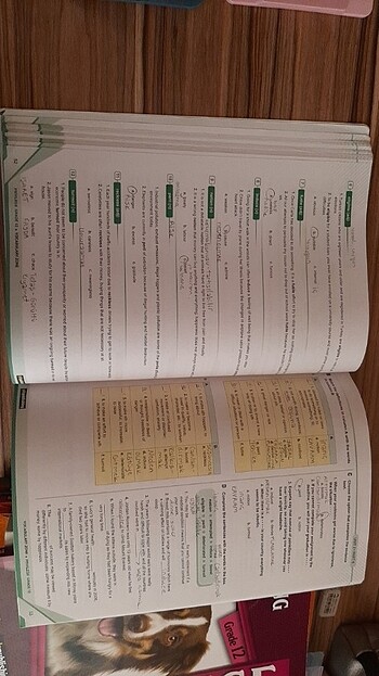 YDS PUBLISHING KİTAPLARI - Görsel 13