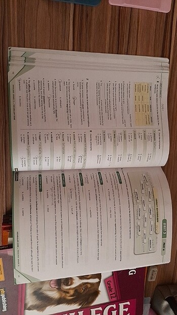 YDS PUBLISHING KİTAPLARI - Görsel 18