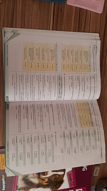 YDS PUBLISHING KİTAPLARI - Görsel 12