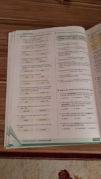 YDS PUBLISHING KİTAPLARI - Görsel 16