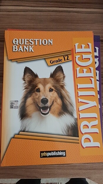 YDS PUBLISHING KİTAPLARI  - Görsel 5