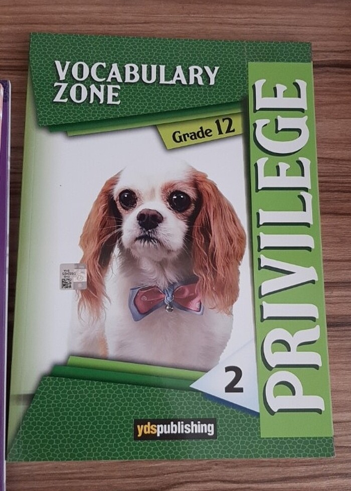 YDS PUBLISHING KİTAPLARI  - Görsel 4