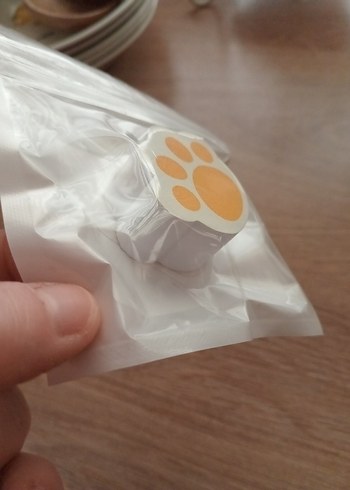 Kedi Patisi Şeklinde Cam silici - Görsel 4