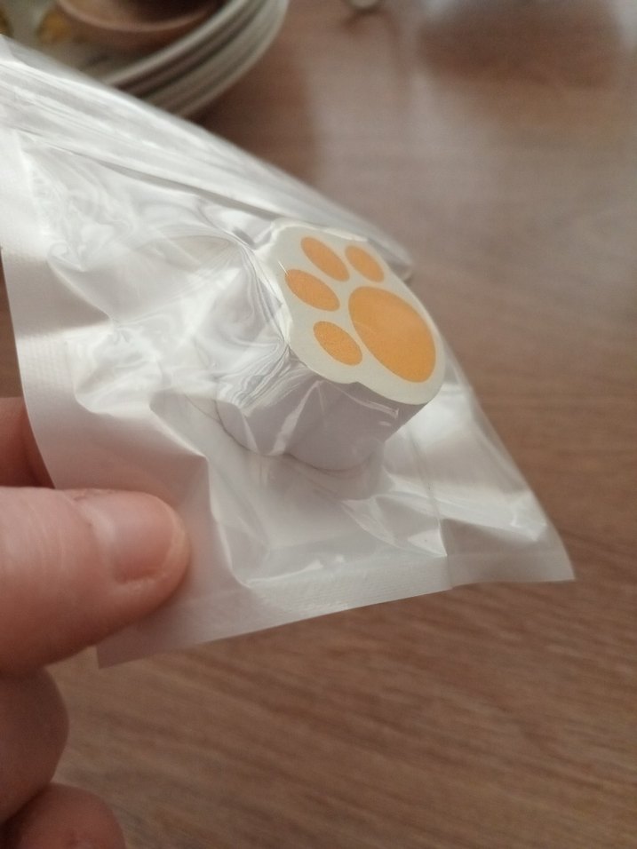 Kedi Patisi Şeklinde Cam silici - Görsel 4