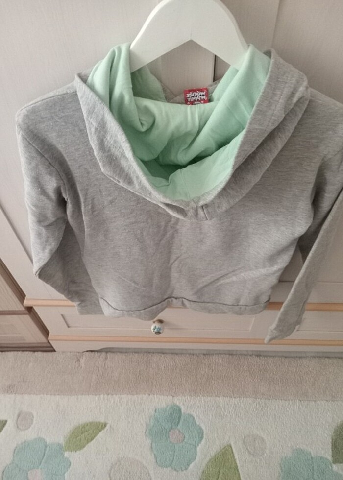 Kapşonlu sweatshirt (Hindistan uretimi) - Görsel 4