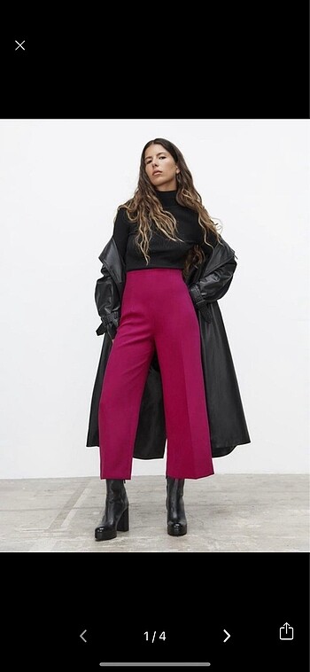 Zara pant