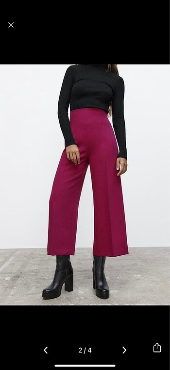 Zara Zara pant