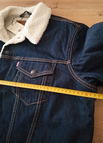 Levis Levi's mont