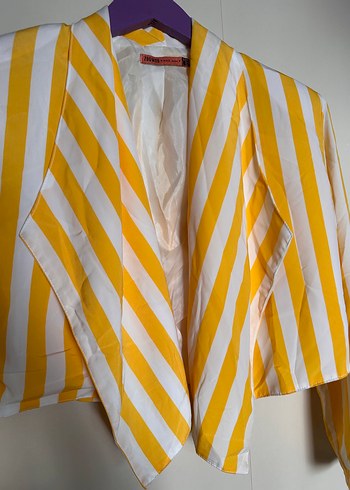 Sarı Çizgili Mini Kadın Blazer - Görsel 4