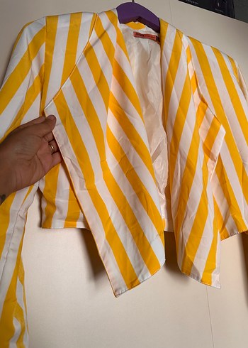 Sarı Çizgili Mini Kadın Blazer - Görsel 2