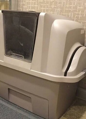 Kedi tuvaleti 
