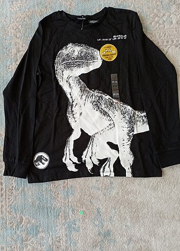 Lcwkids Jurassic park t shirt ????