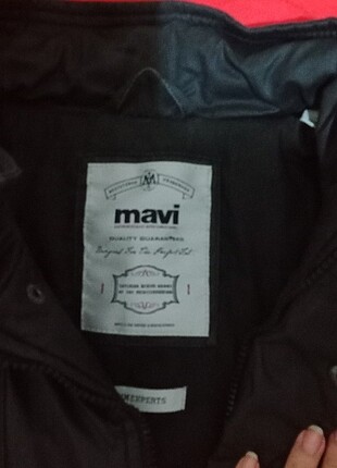 Mont mavi