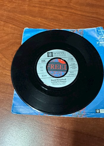 David Hasselhoff - Looking For Freedom - Görsel 4