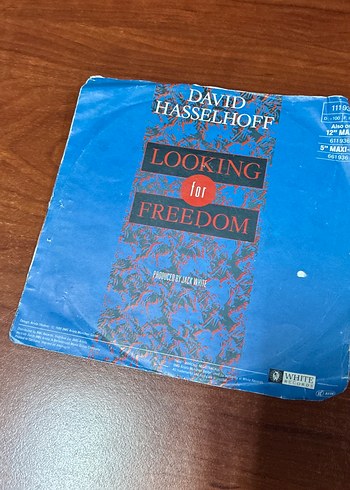 David Hasselhoff - Looking For Freedom - Görsel 3