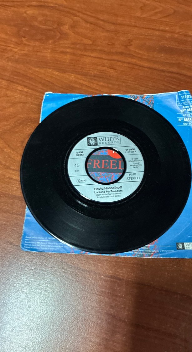 David Hasselhoff - Looking For Freedom - Görsel 4