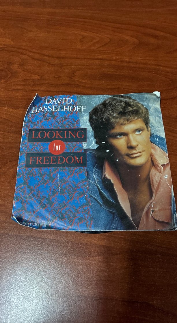 David Hasselhoff - Looking For Freedom - Görsel 2