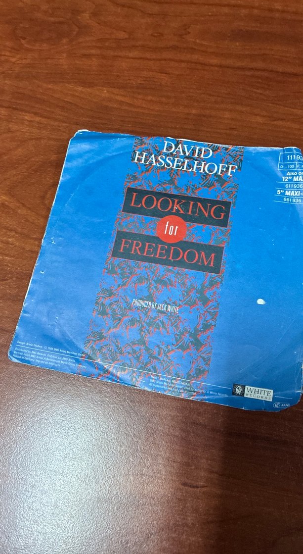 David Hasselhoff - Looking For Freedom - Görsel 3