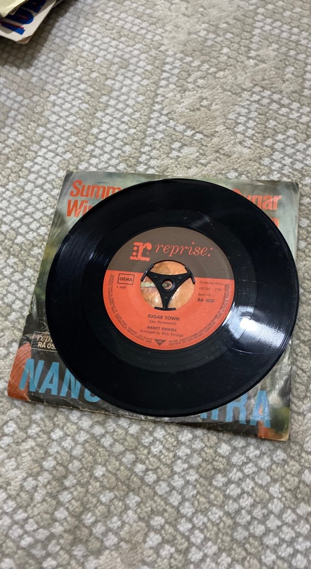 Nancy Sinatra - Summer Wine Single Plak - Görsel 4