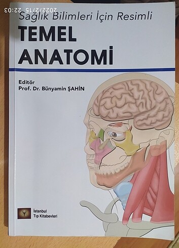 Temel anatomi