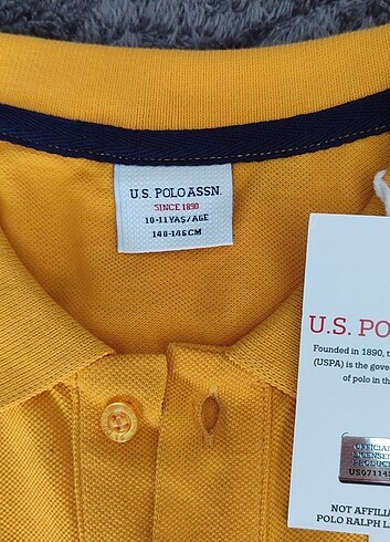 U.S Polo Assn. Us Polo tişört 
