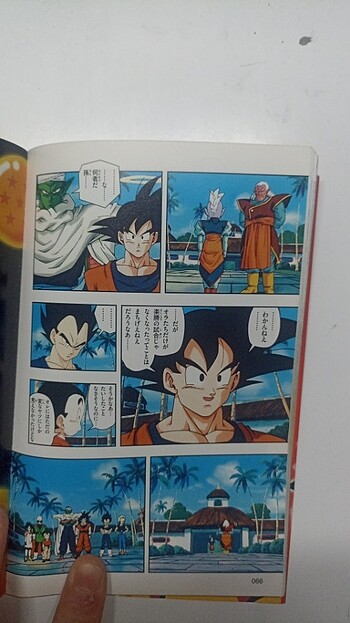  Beden Renk Dragon ball renkli manga