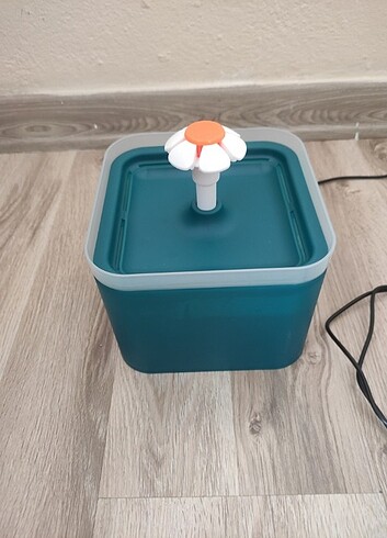 Kedi su çeşmesi Köpek su pınarı